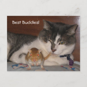 Carte postale Best Buddies
