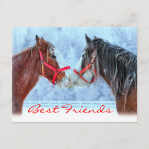 Carte Postale Best Friends