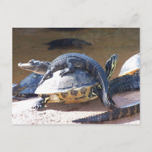 Carte Postale Best Friends