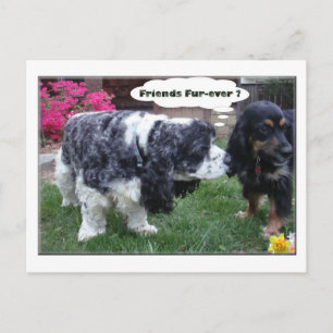 Carte Postale Best Friends Fur-ever