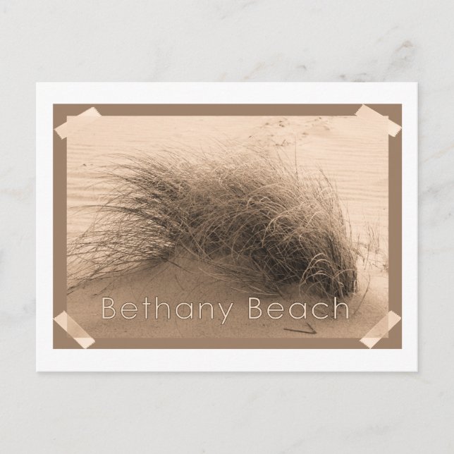 Carte postale Bethany Grass (Devant)