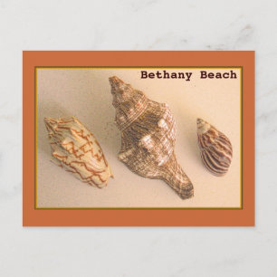 Carte postale Bethany Shells