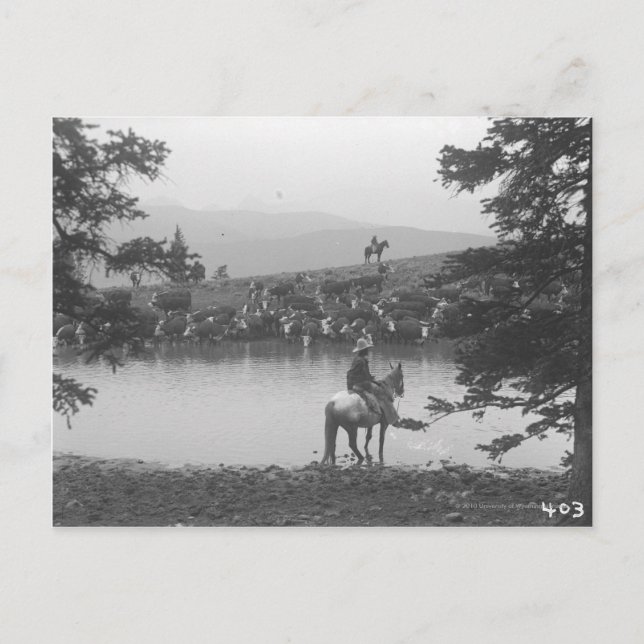 Carte Postale Béton près d'un étang avec deux cowboys. (Devant)
