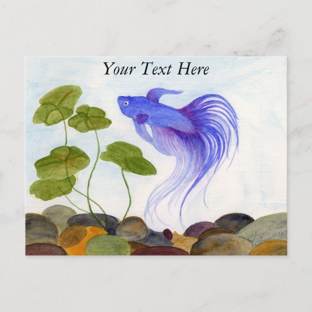 Carte Postale Betta fish (Devant)