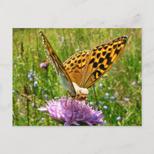 Carte Postale Beurre