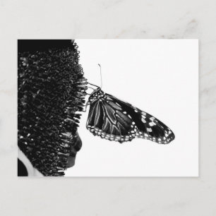 Carte Postale beurre shy blacy