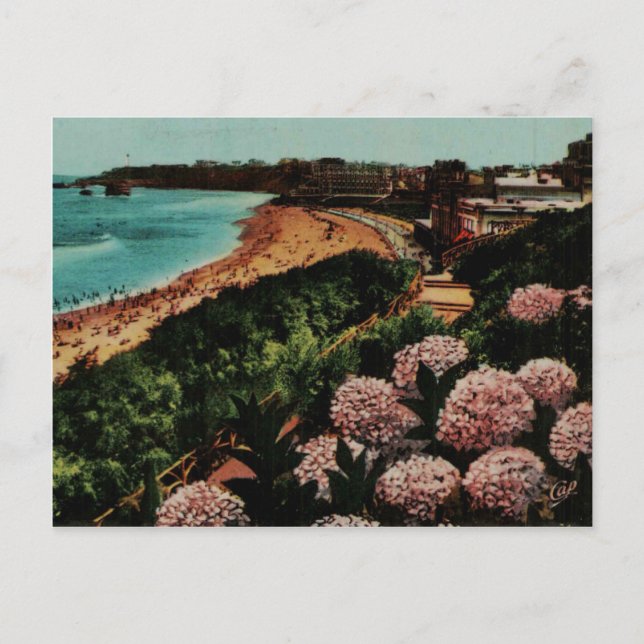 Carte Postale Biarritz Hortensias France (Devant)