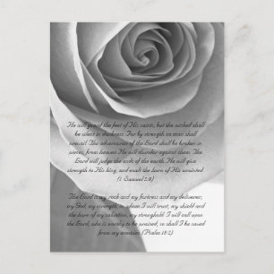 Carte Postale Bible passage, rose gros plan noir et blanc
