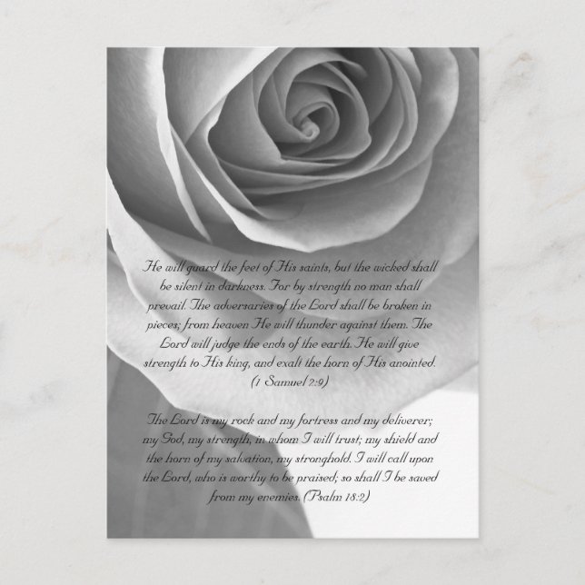 Carte Postale Bible passage, rose gros plan noir et blanc (Devant)