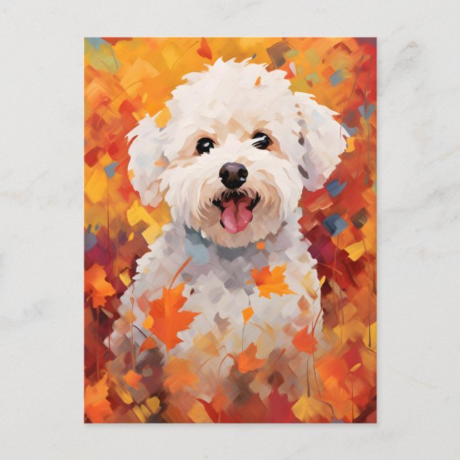 Carte Postale Bichon Frise Automne Thanksgiving (Devant)