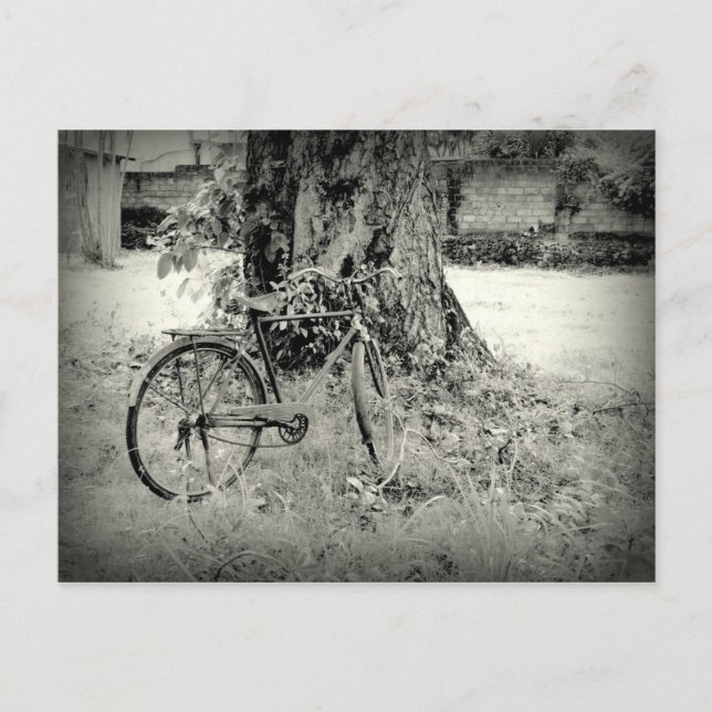 Carte Postale Bicyle sous un arbre (Devant)