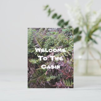 Carte Postale Bienvenue à Cabine Ferns Photo Forest Plante Invit