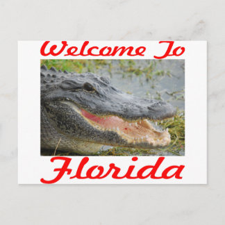 Carte Postale Bienvenue au Gator de Floride