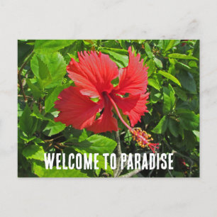 Carte Postale Bienvenue au Paradis Maison de Plage aux Fleurs Tr