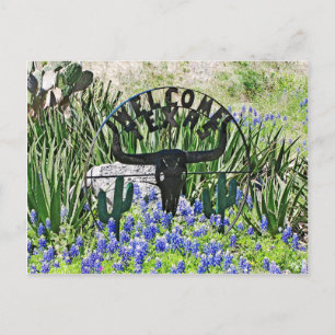 Carte Postale Bienvenue au Texas Bluebonnet