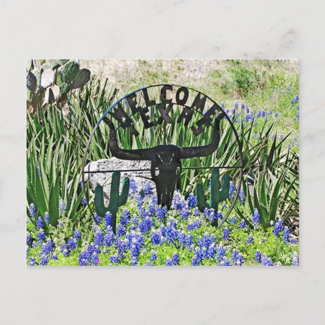 Carte Postale Bienvenue au Texas Bluebonnet (Devant)