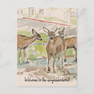 Carte Postale Bienvenue dans le quartier Deer Lawn