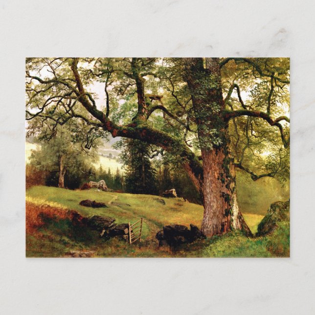 Carte Postale Bierstadt - Un sentier à travers les arbres (Devant)