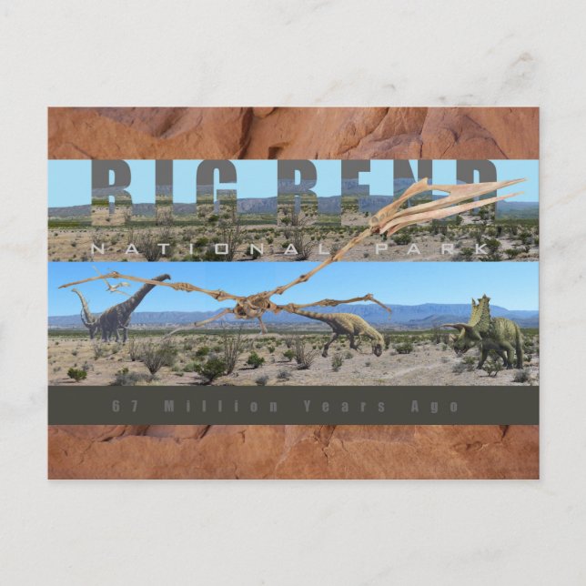 Carte Postale BIG BEND NAT’L PARK-Texas-Fossil Discovery (Devant)