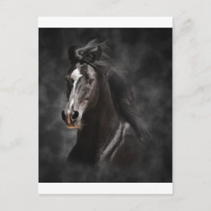 Carte Postale Big, Bold et Proud