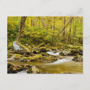 Carte Postale Big Creek Caroline du Nord