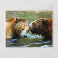 Big Grizzly Bear Kiss