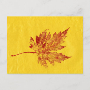 Carte postale "Big Maple Yellow"