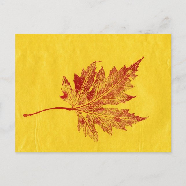 Carte postale "Big Maple Yellow" (Devant)