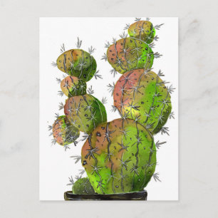 Carte Postale Big Old Stingy Cactus