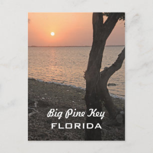 Carte Postale Big Pine Key Sunrise Postcard