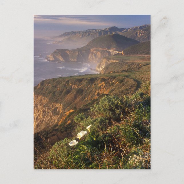 Carte Postale Big Sur Côte Californie (Devant)