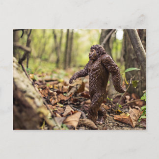 Carte postale Bigfoot | Sasquatch