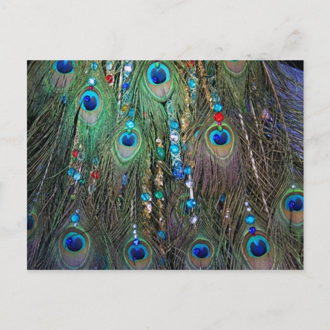 Carte Postale Bijoux Peacock (Devant)
