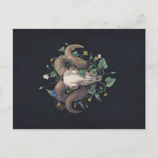 Carte Postale Bildserie Leben Und Tod : Schafschädel