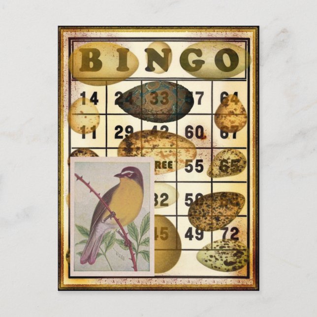 Carte Postale Bingo Bird (Devant)