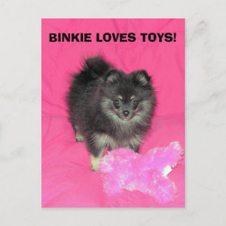CARTE POSTALE BINKIE AIME LES JOUETS !