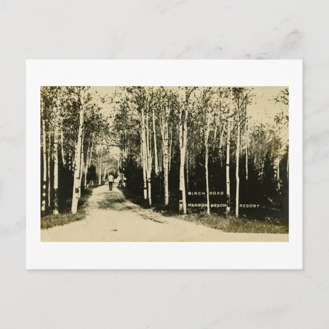 Carte Postale Birch Road Harbour Beach Resort, Michigan (Devant)