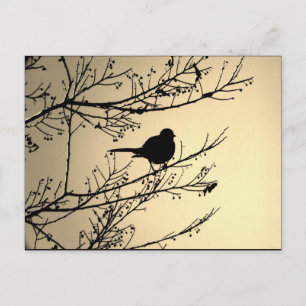 Carte postale "Bird Black" JTG Art