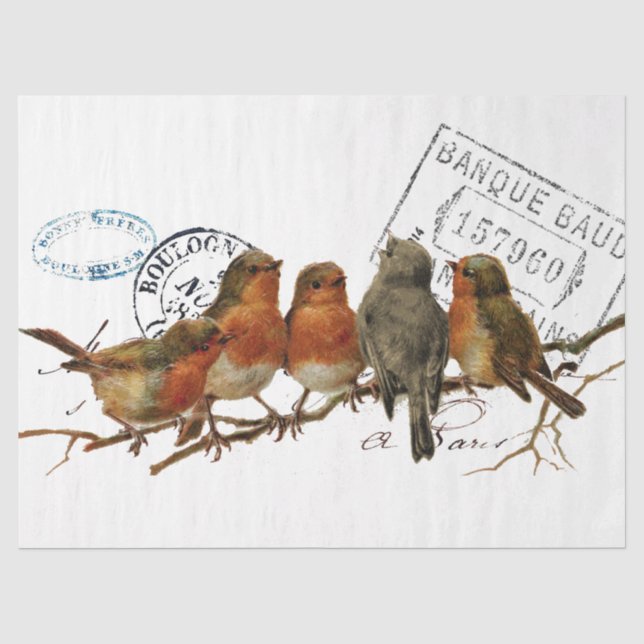 Carte Postale Bird European Robins Französisch Vin Seidenpapier (Vorderseite)