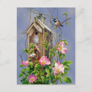 Carte postale Bird House
