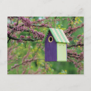 Carte Postale Bird House