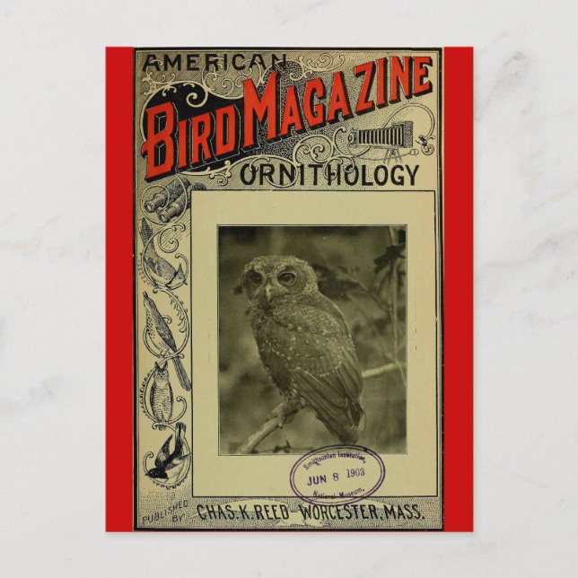 Carte Postale Bird Magazine 8 juin 1903 (Devant)
