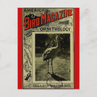 Bird Magazine jul 3 1903