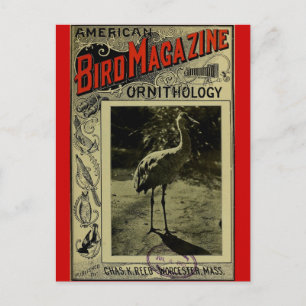 Carte Postale Bird Magazine jul 3 1903