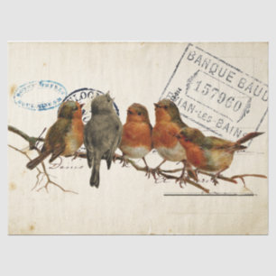 Carte Postale Bird Set 3 von 4 europäischen Robins Seidenpapier