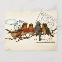 Carte Postale Bird Set 3 von 4 (European Robins)