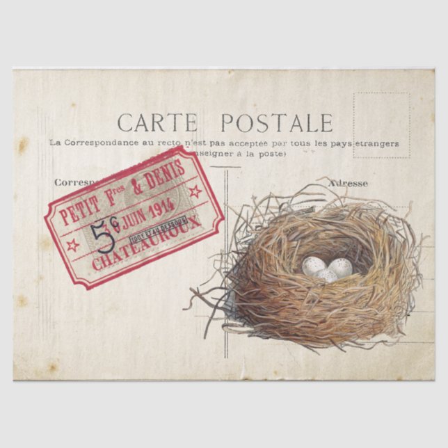 Carte Postale Bird Set 4 von 4 (Vogel's Nest Ticke Seidenpapier (Vorderseite)