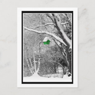 Carte Postale Birdhouse d'hiver