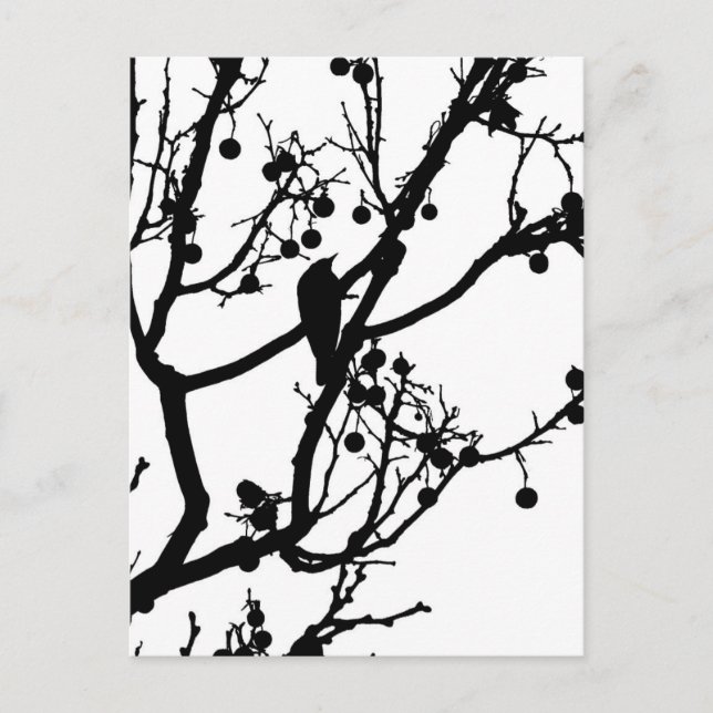 Carte Postale Birdie 4 (Devant)