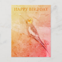 Birthday Card